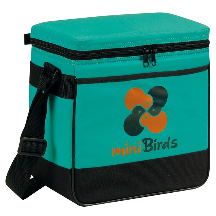 Insulated 12 Pack Cooler 13