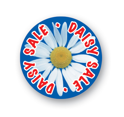 USA Made Square Celluloid Button (2") 3