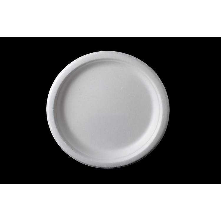 10" Disposable Round Plates - Bagasse 500ct 1