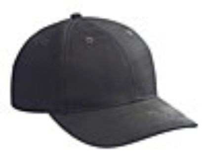 Embroidered Brushed Bull Denim Caps 1