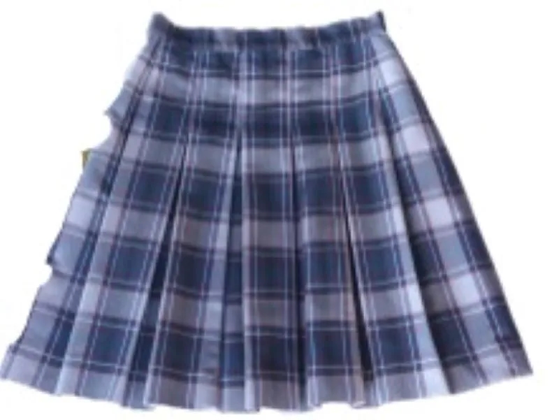 Girls Pleated Skirt: Plaid (Girls K-5) 2