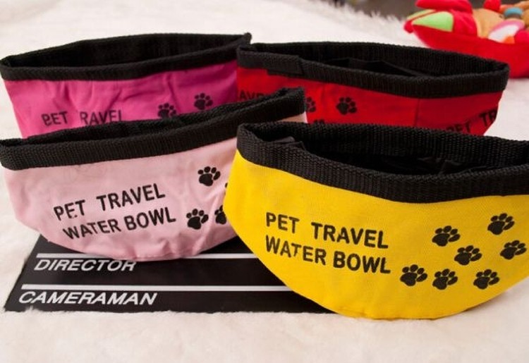 Foldable Dog Bowl 1