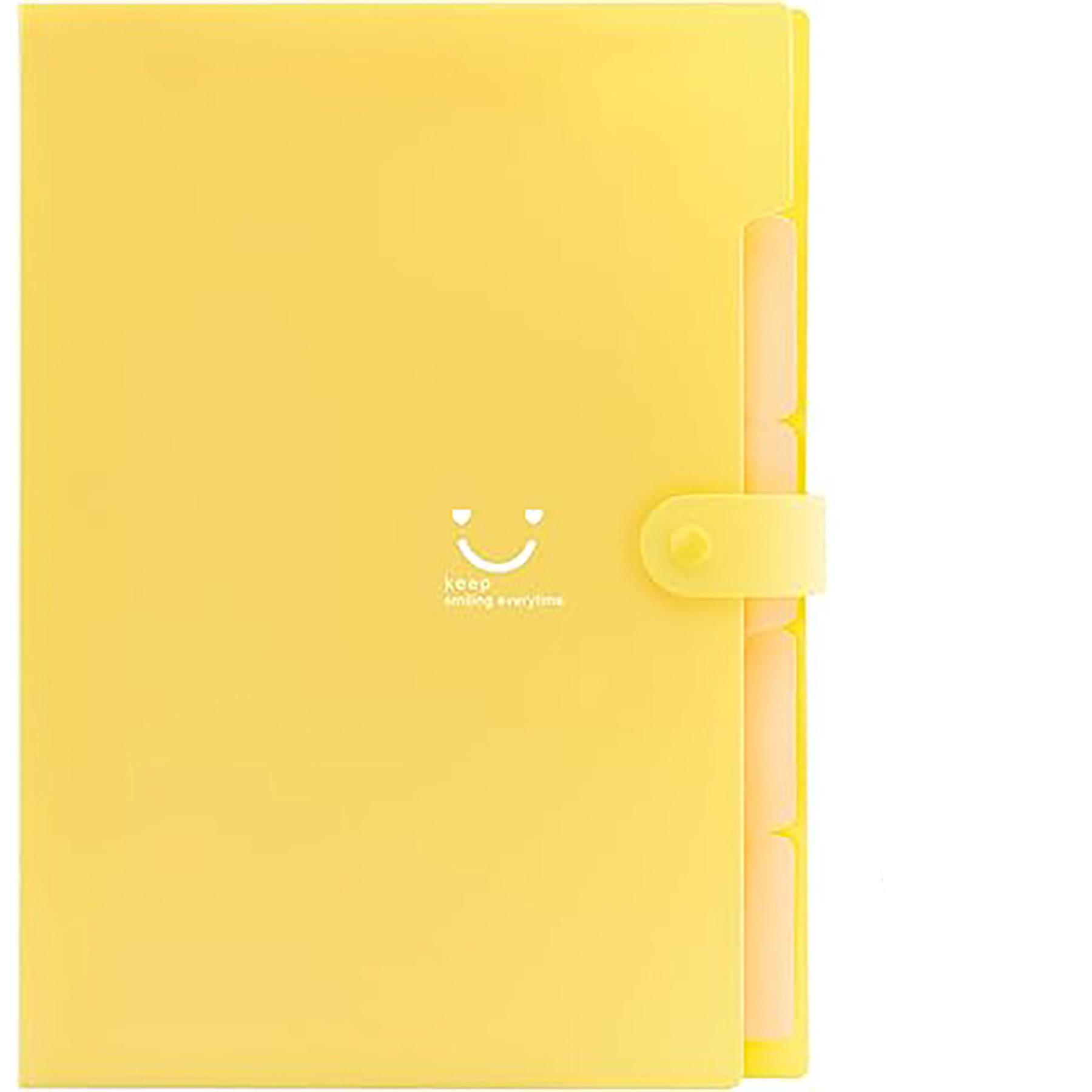 File Organizer with Labels 3