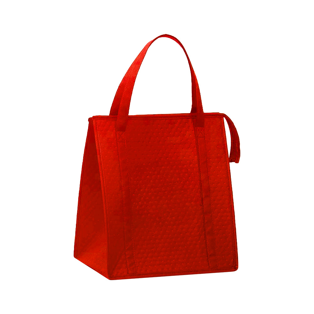 Large Foldable Cooler Bag 2