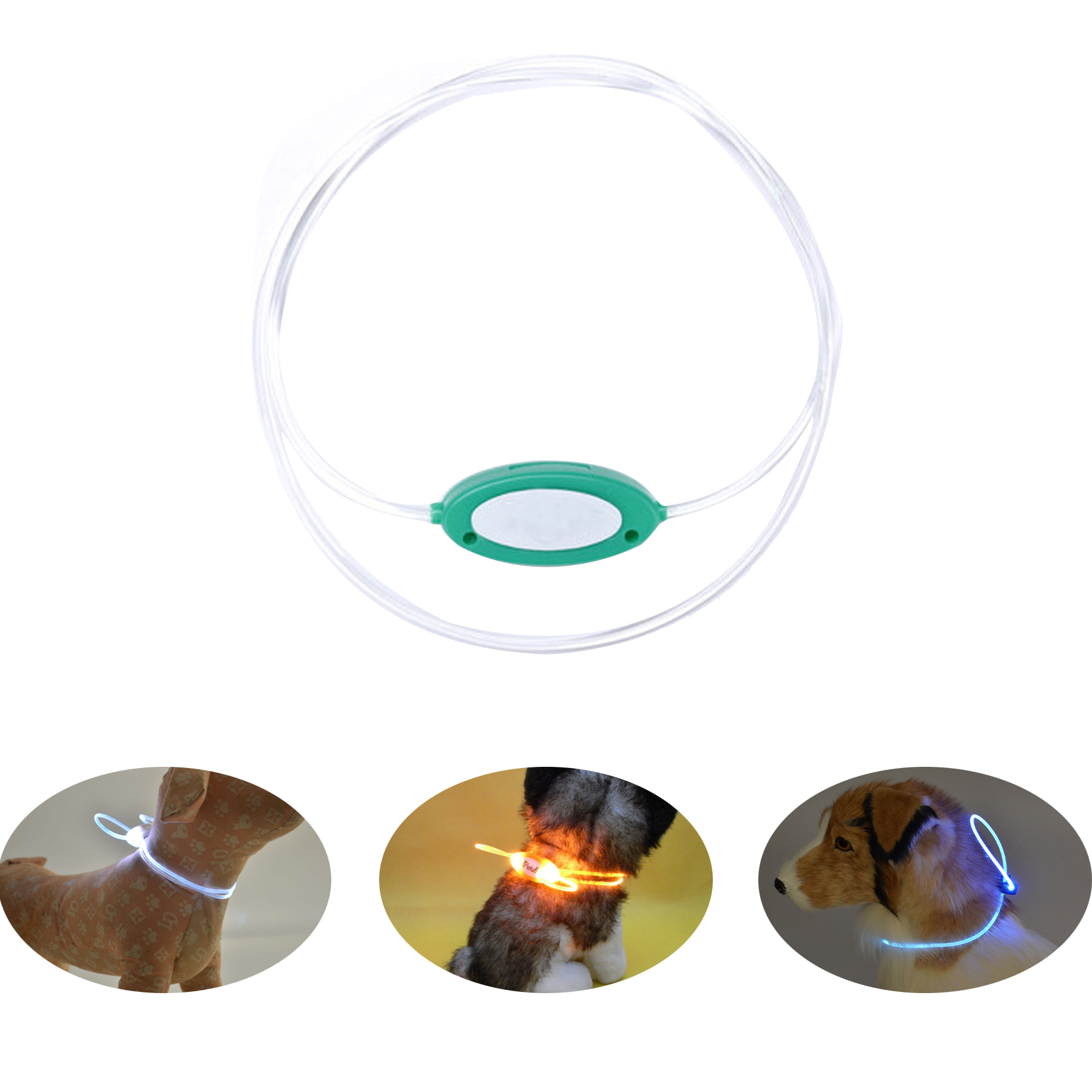 Light Up Dog Collar