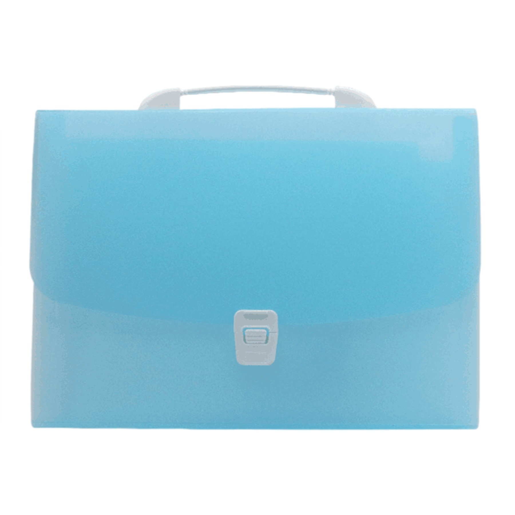 Portable Translucent Folder Bag 4
