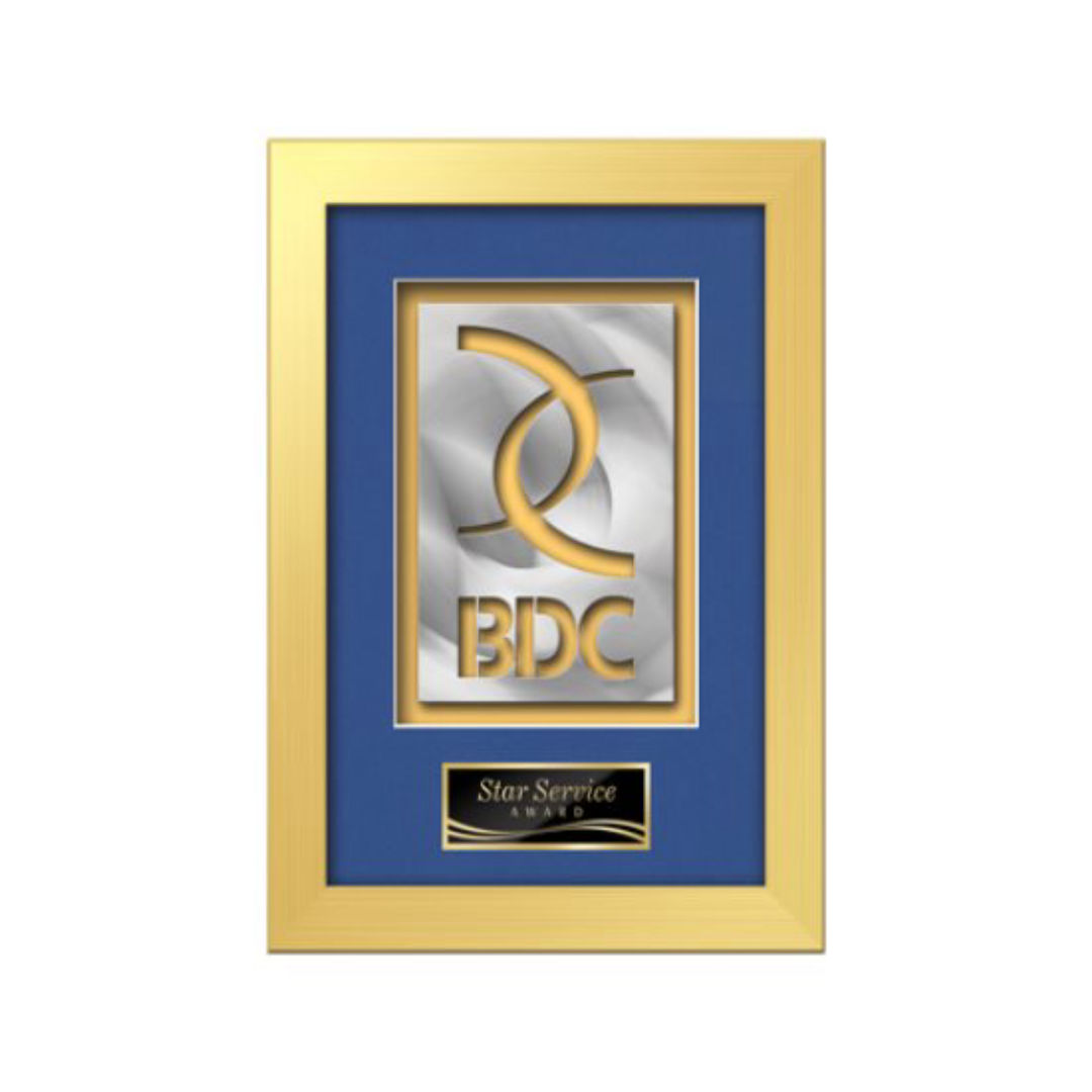 Eldridge Aquashape™ Award - Gold