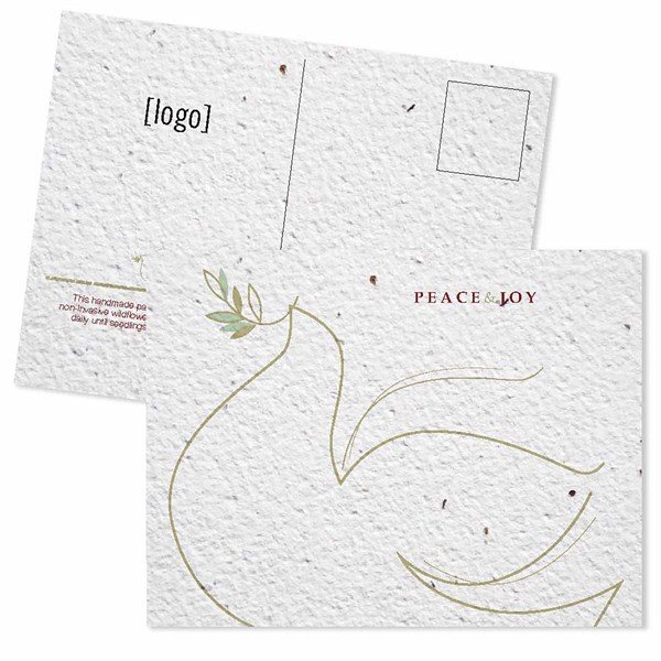 Seed Paper Mailable Postcard