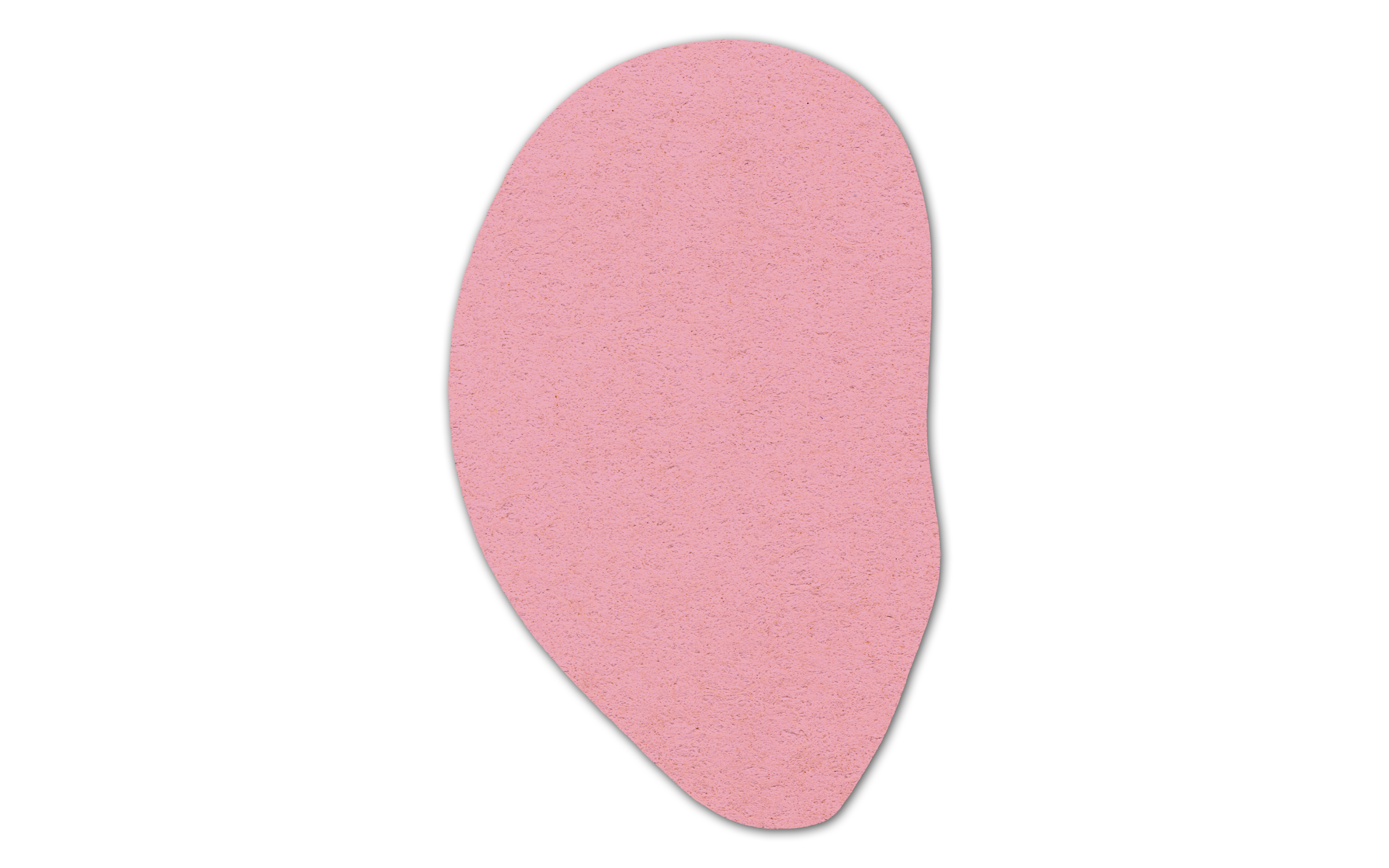 Ear Compressed Sponge 4ER 3