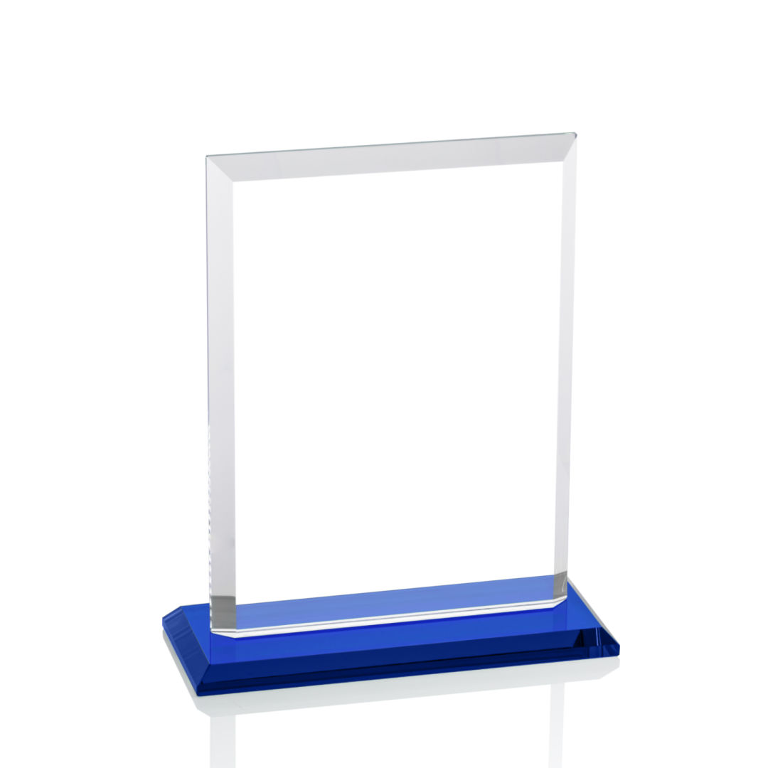 Denison Award - Blue 4