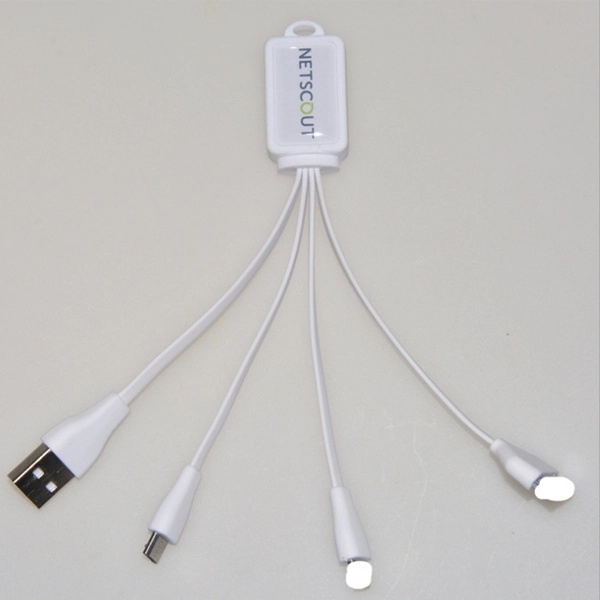 Epoxy 4-N-1 Charge Cable 5