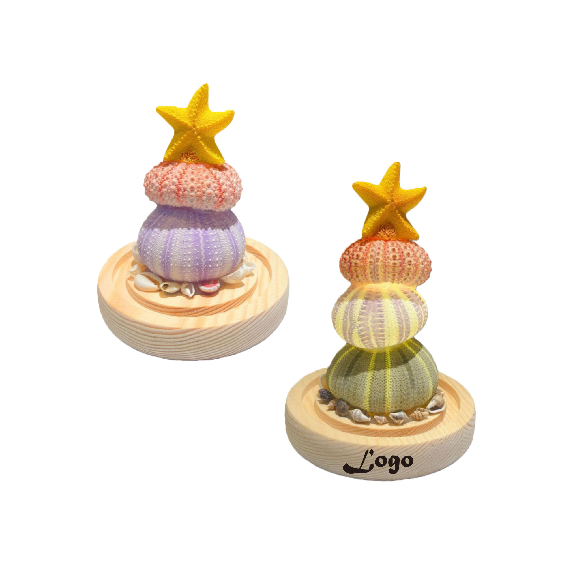 Illuminated Seashell Ornament Ambient
