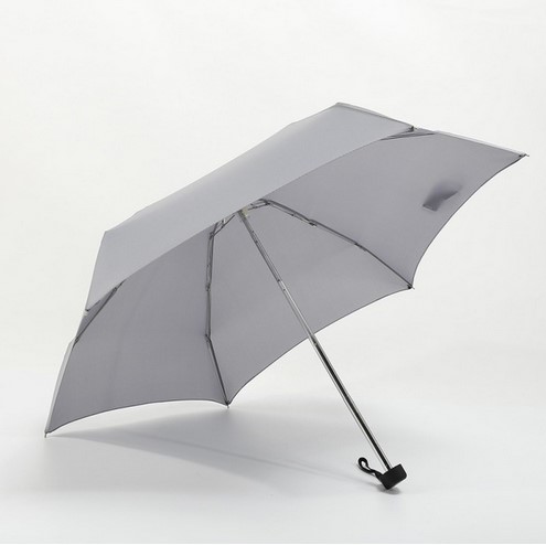 Folding Travel Umbrella With Eva Case 5