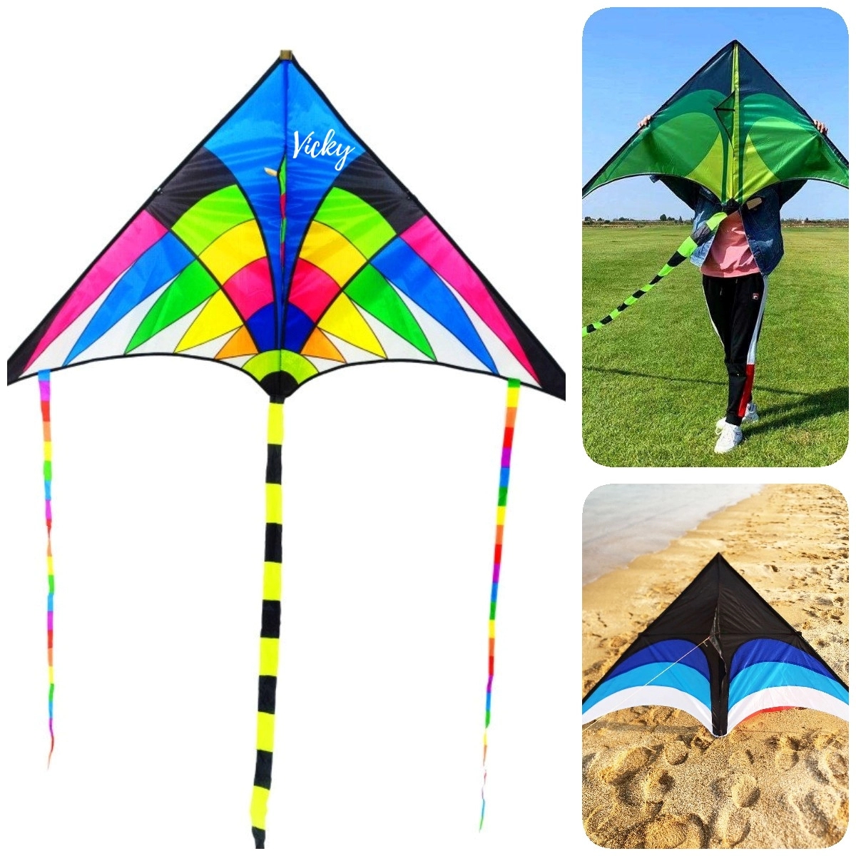 Grand Delta Dancer Kite 3