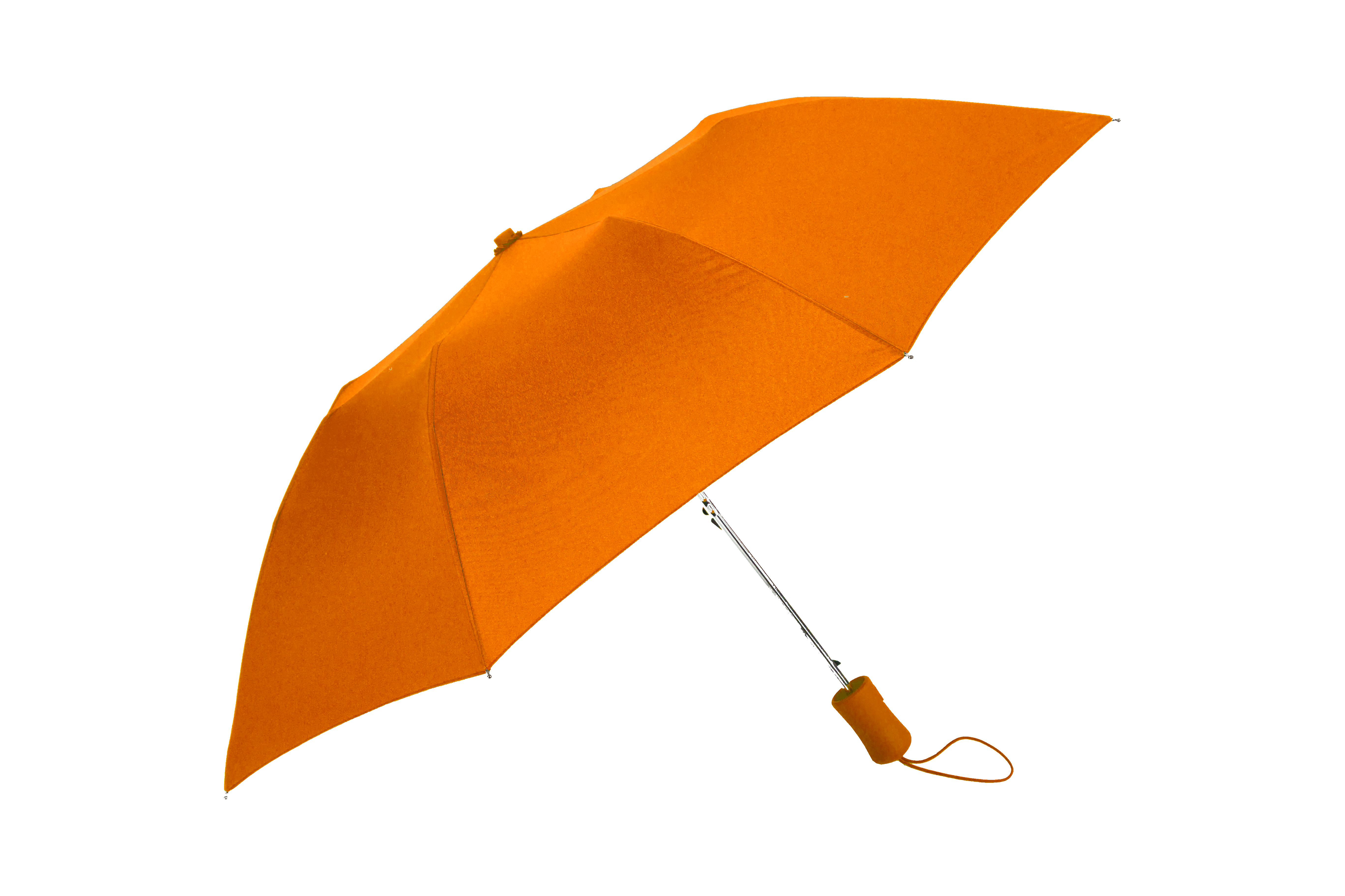 The Victory Umbrella 29