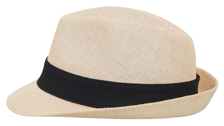 OTTO CAP Fedora 27