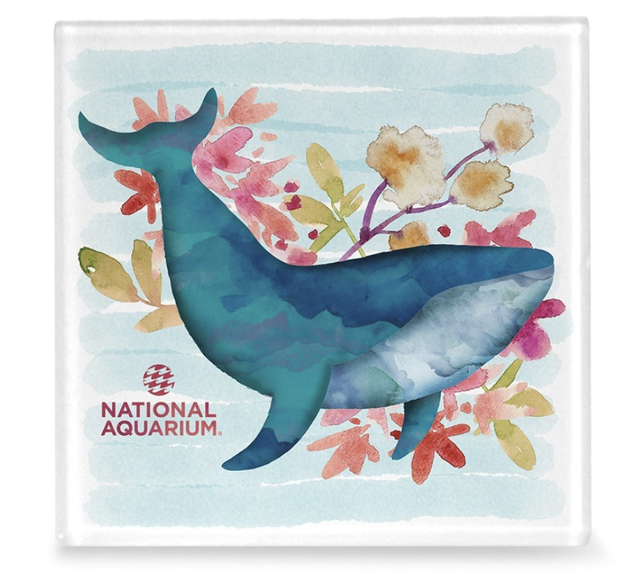 Glass Square Coaster-Closeout