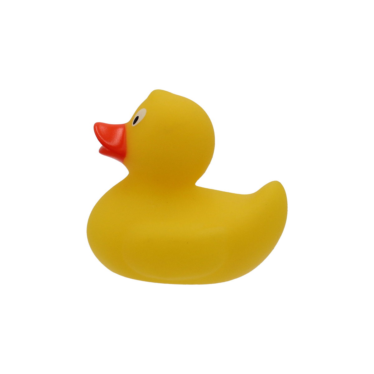 Promo Duck 5