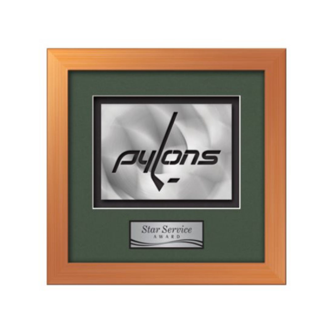 Eldridge Aquashape™ Award - Bronze 5