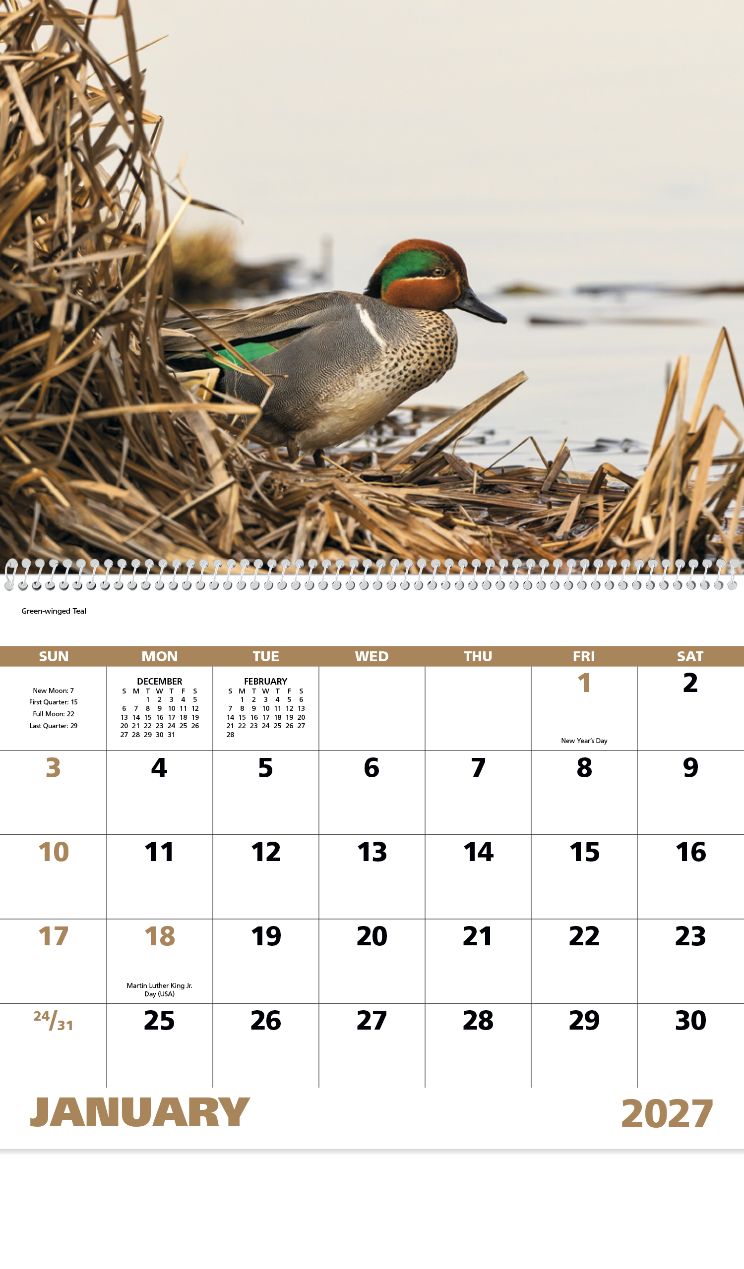 Good Value™ Waterfowl - Spiral Calendar 44