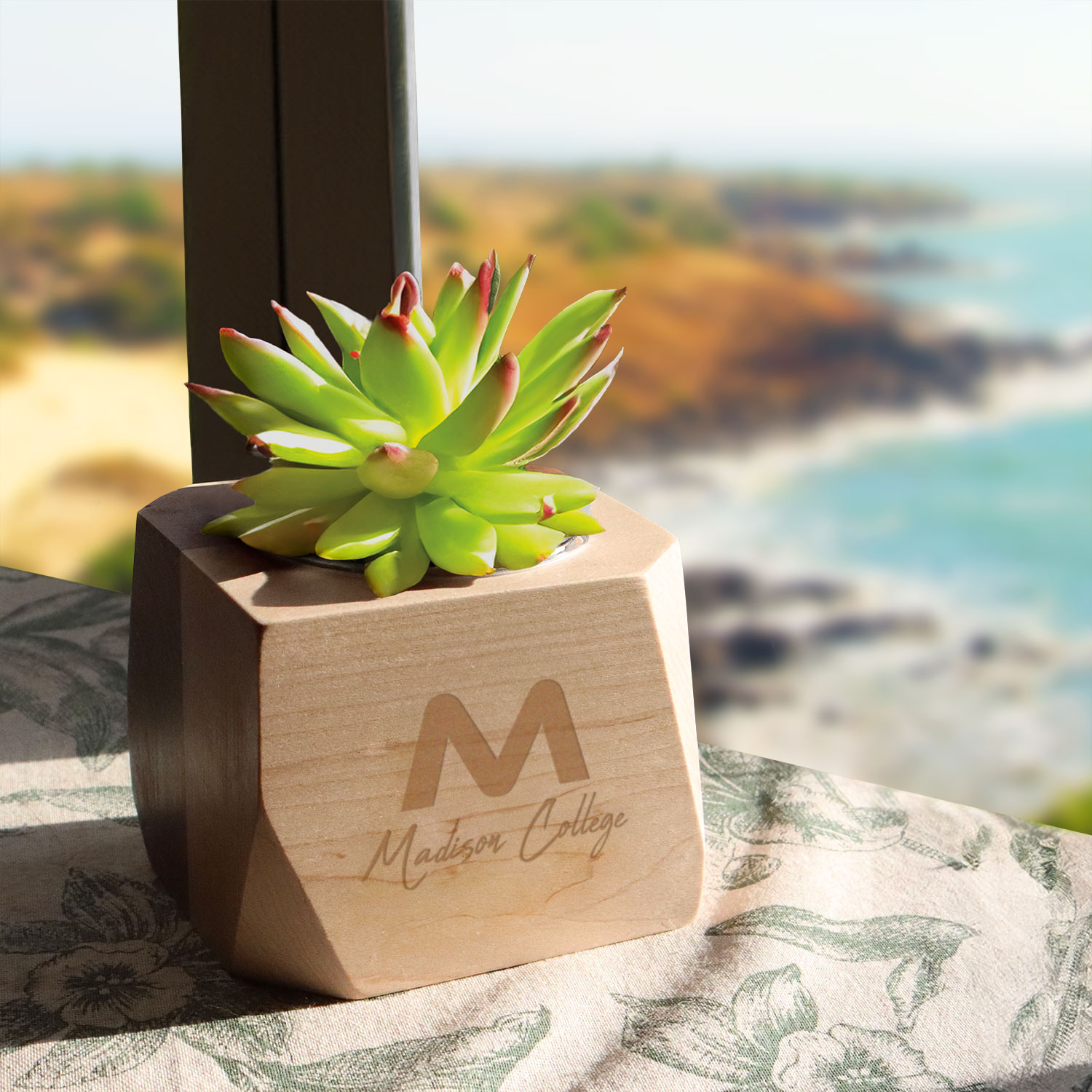 Geometric Wooden Planter with Succulent 3