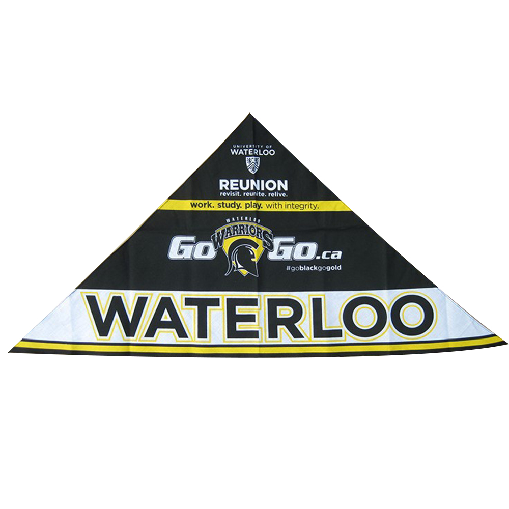 Small Pet Bandanna 3