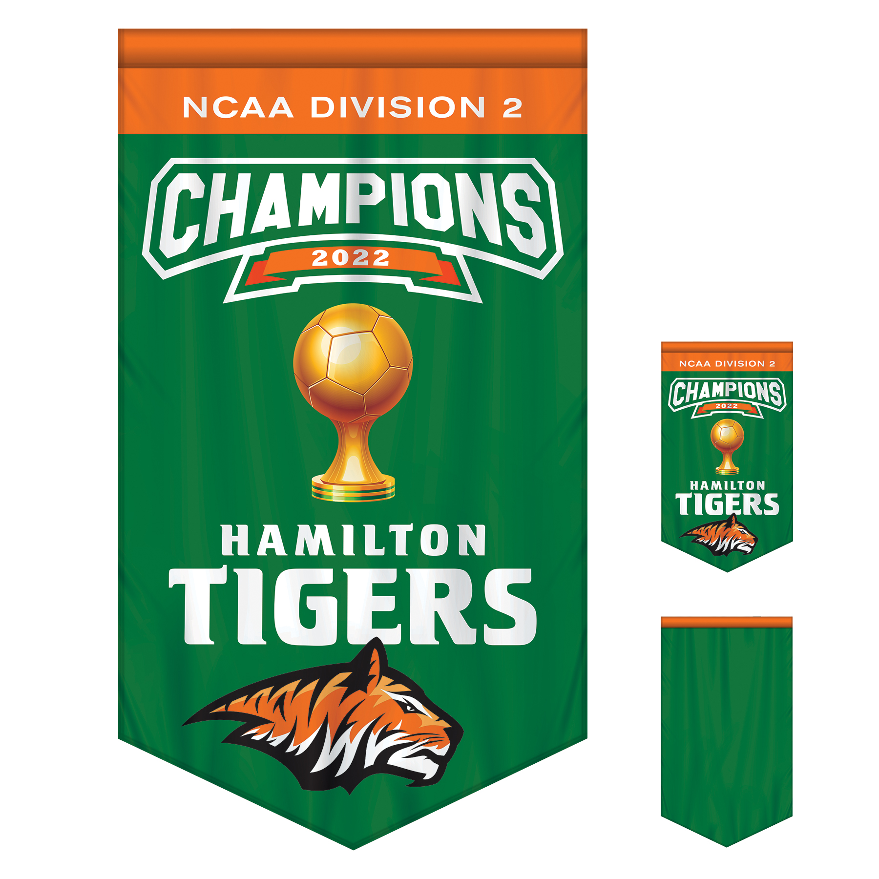 3' x 5' Championship Banner Single Sided with Backliner V-Cut 5
