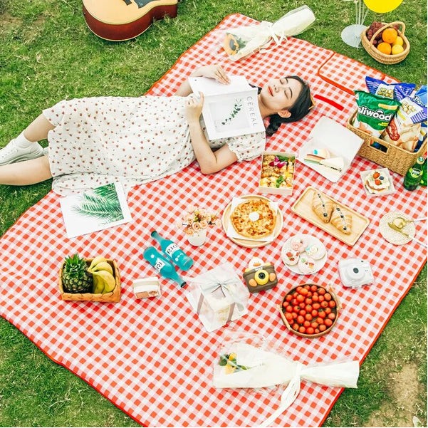 Portable Folding Picnic Blanket With Handle 2