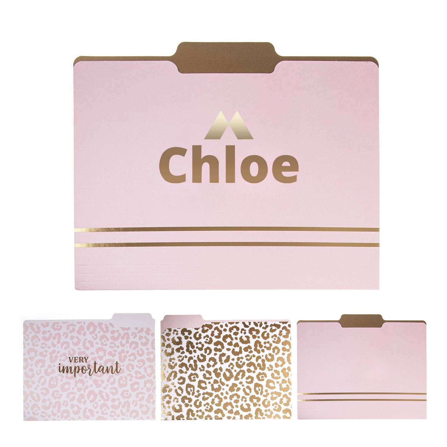 Paper Document File Folders 5