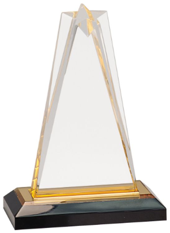 7" Gold Star Impress Acrylic Award