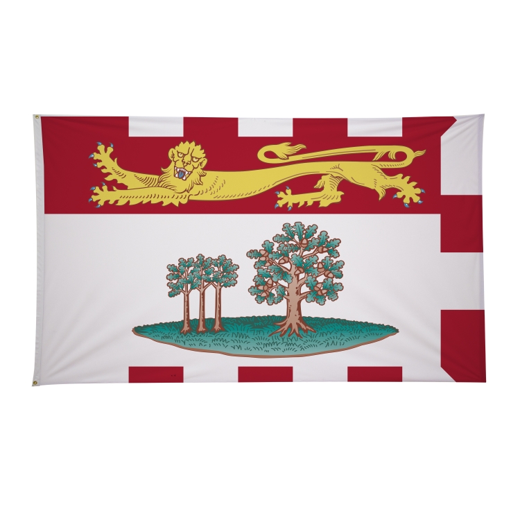 6' x 10' International Flags 124