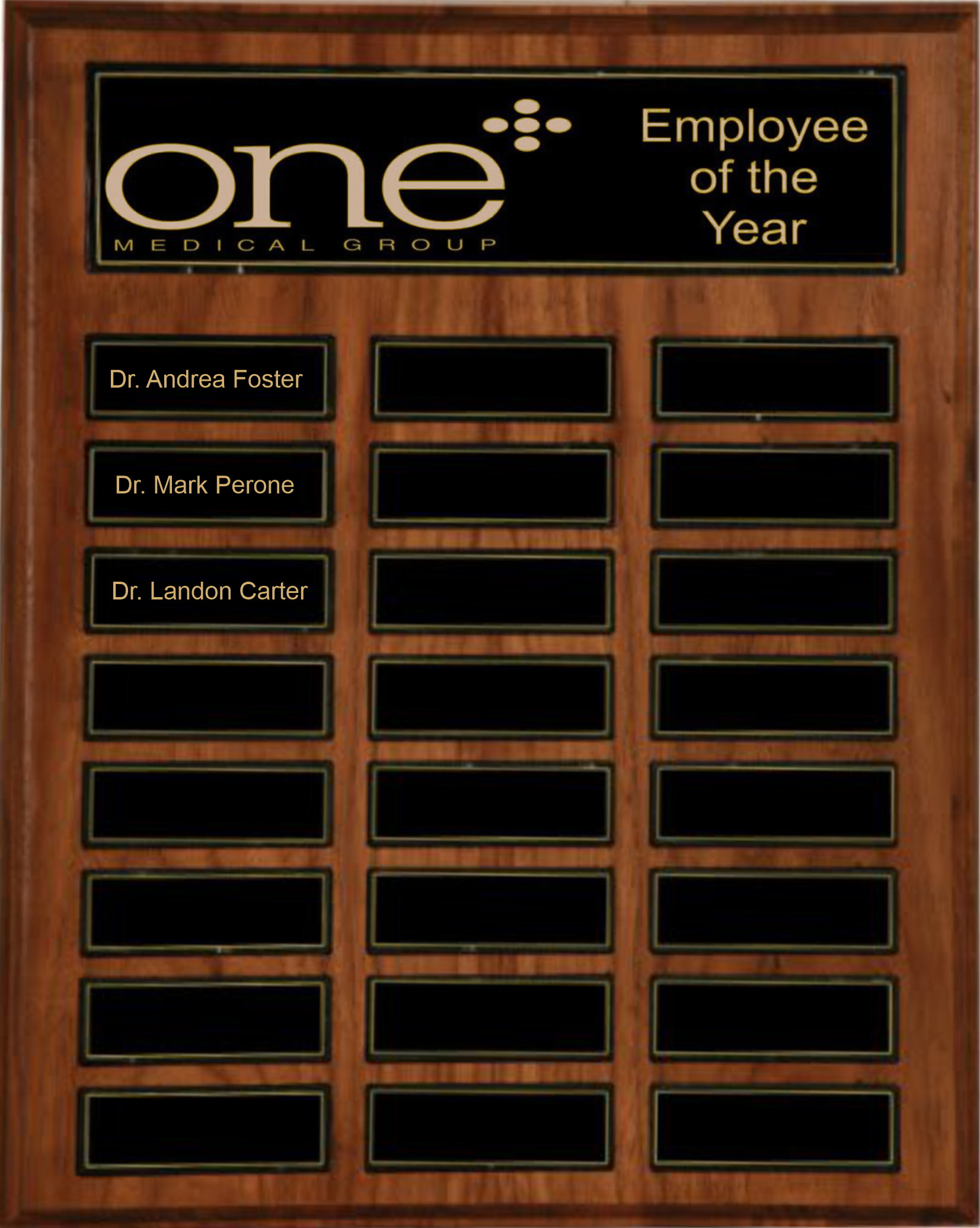 24 Plate Recognition Pocket Perpetual Plaque (12"x15") 6