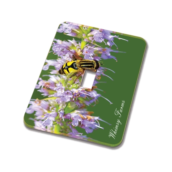 Acrylic Light Switch Cover 2