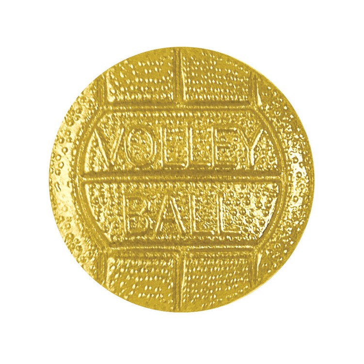 Volleyball Bright Gold Chenille Lapel Pin
