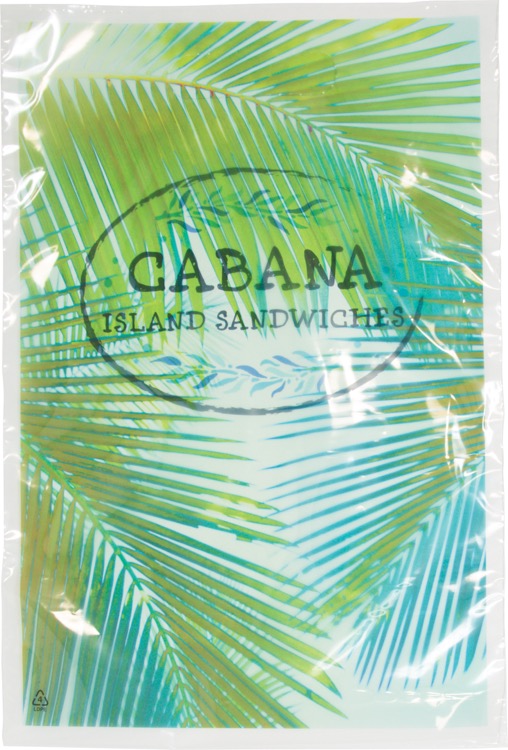 Digital Full Color 2-Sided Clear Plastic Bag (9"x 13")