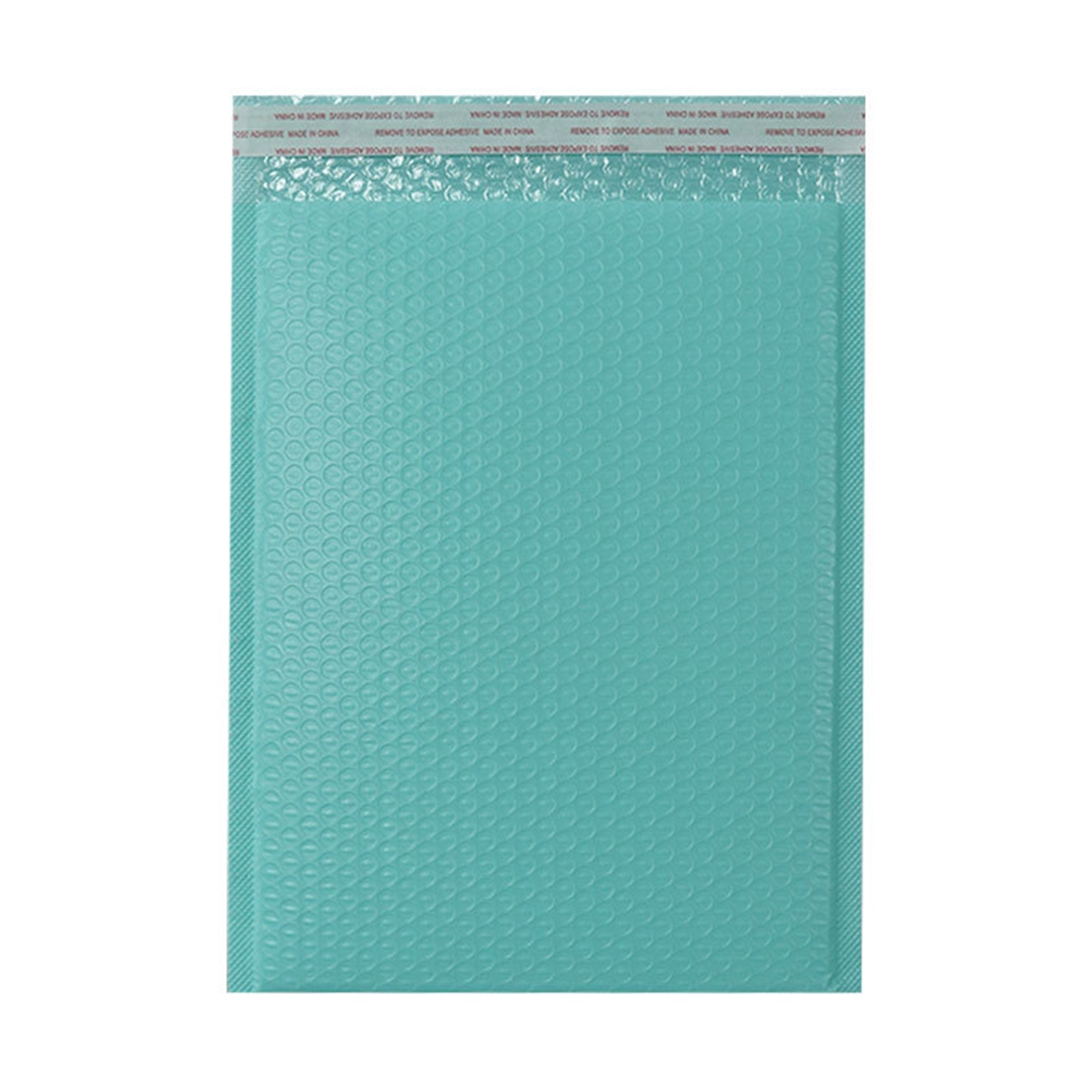 Protective Padded Mailer 2