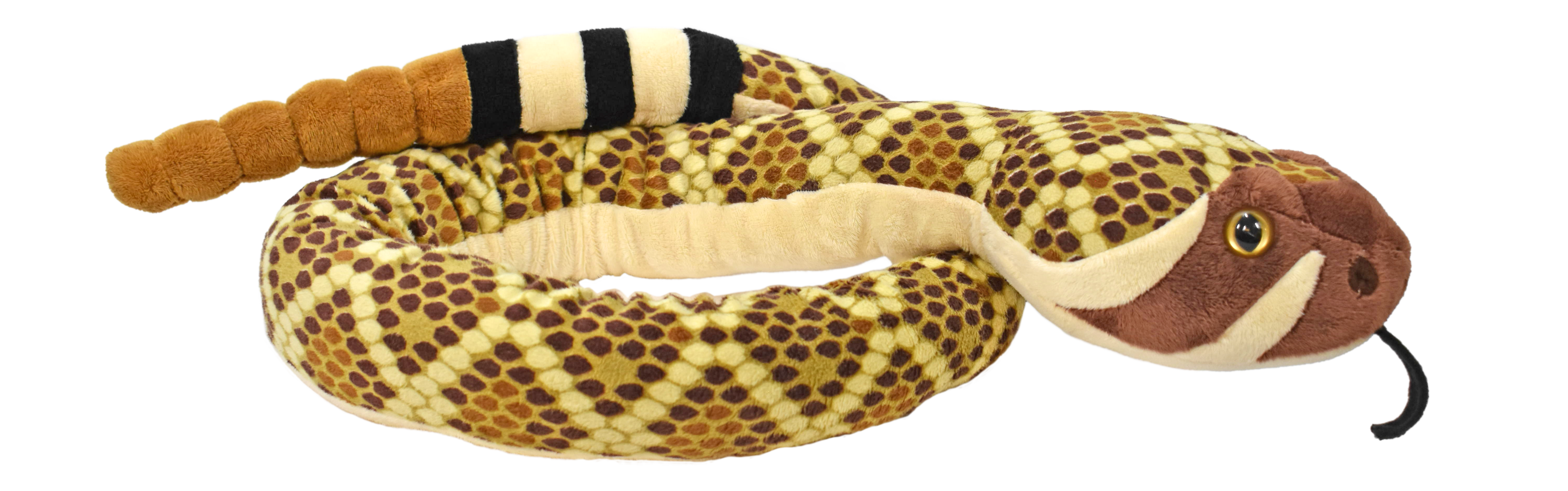 54" Western Diamondback 1