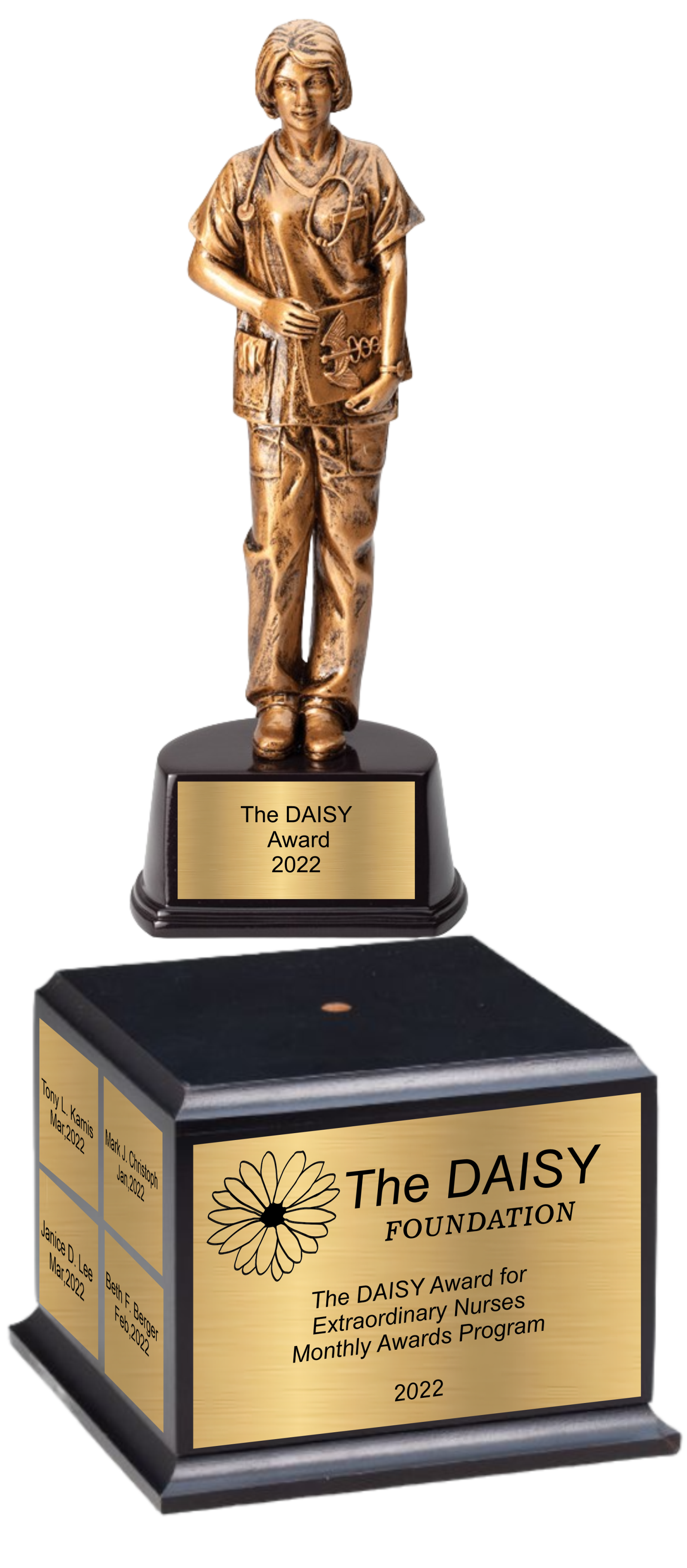 10" Premium Gallery Sculpture Golden American Hero Nurse Trophy Award 7