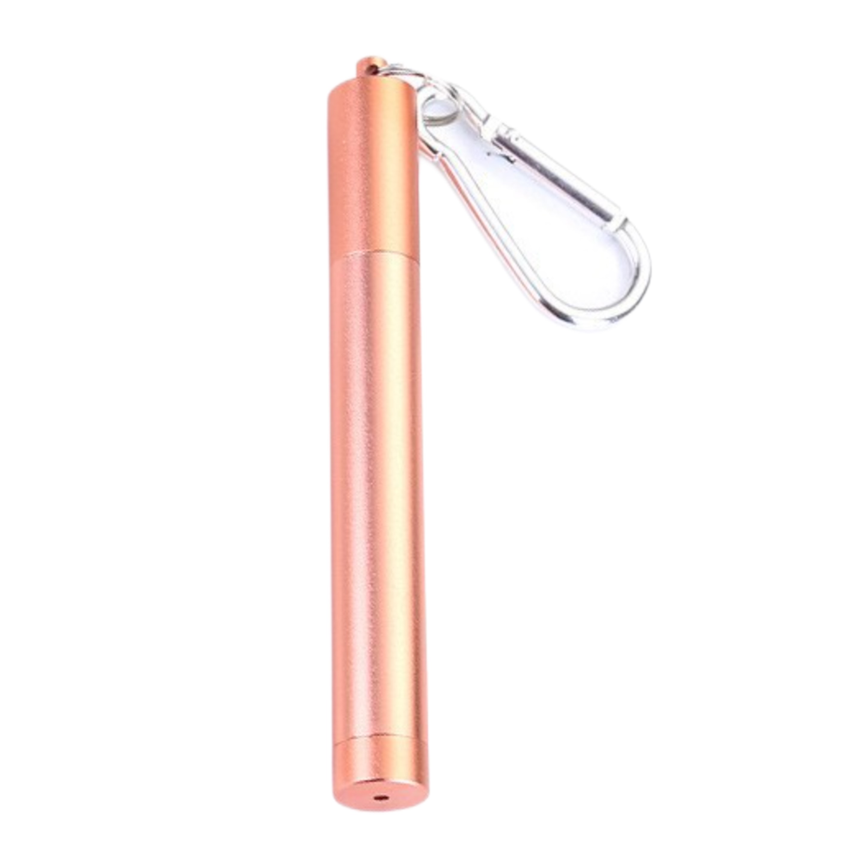 Reusable Stainless Steel Straw with Case 10