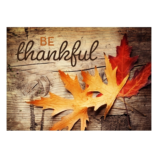 Be Thankful Rustic Thanksgiving Greeting Card 1