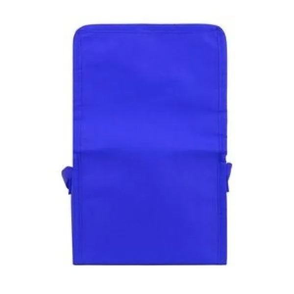 Springs 6-Pack Insulated Cooler Bag 5