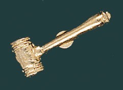 Gavel Metal Chenille Letter Insignia Pin 2