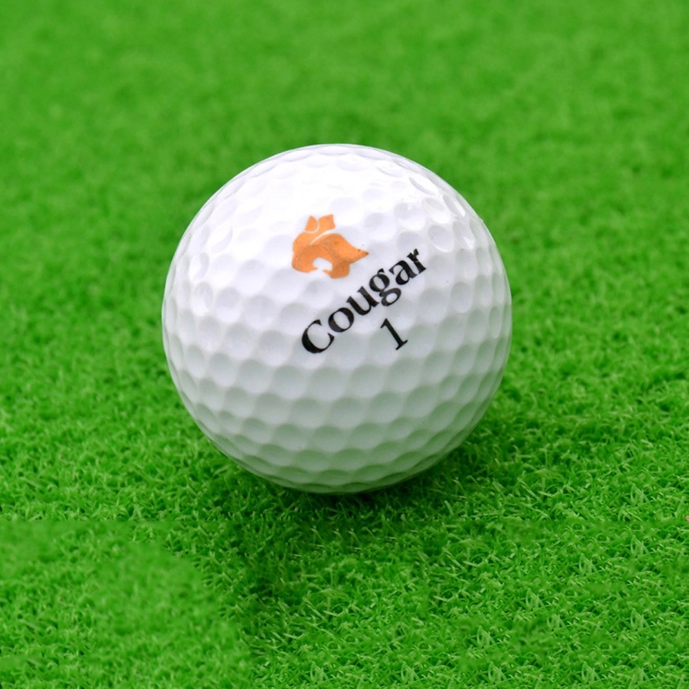Practice Golf Balls 4
