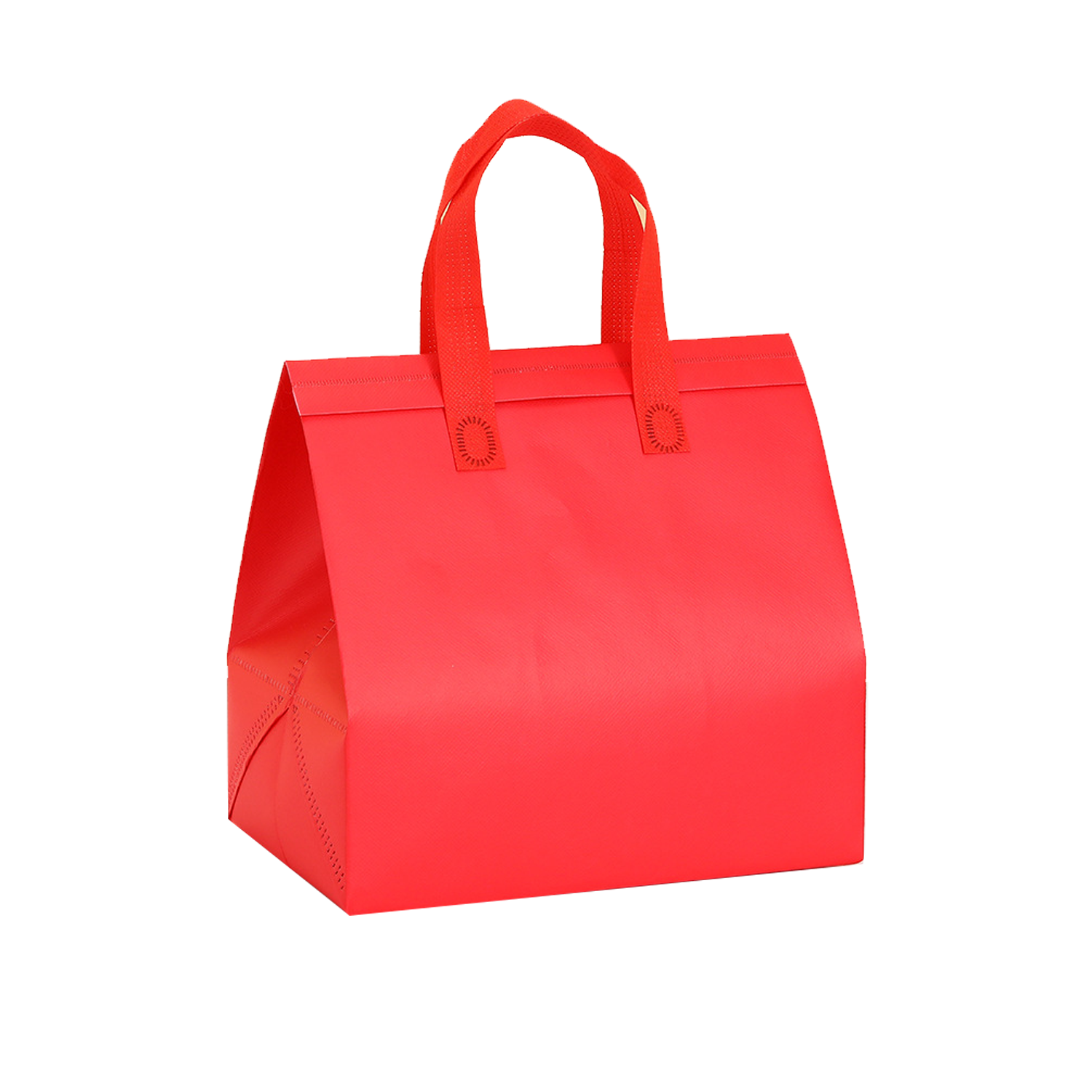 Disposable Insulated Bag 4
