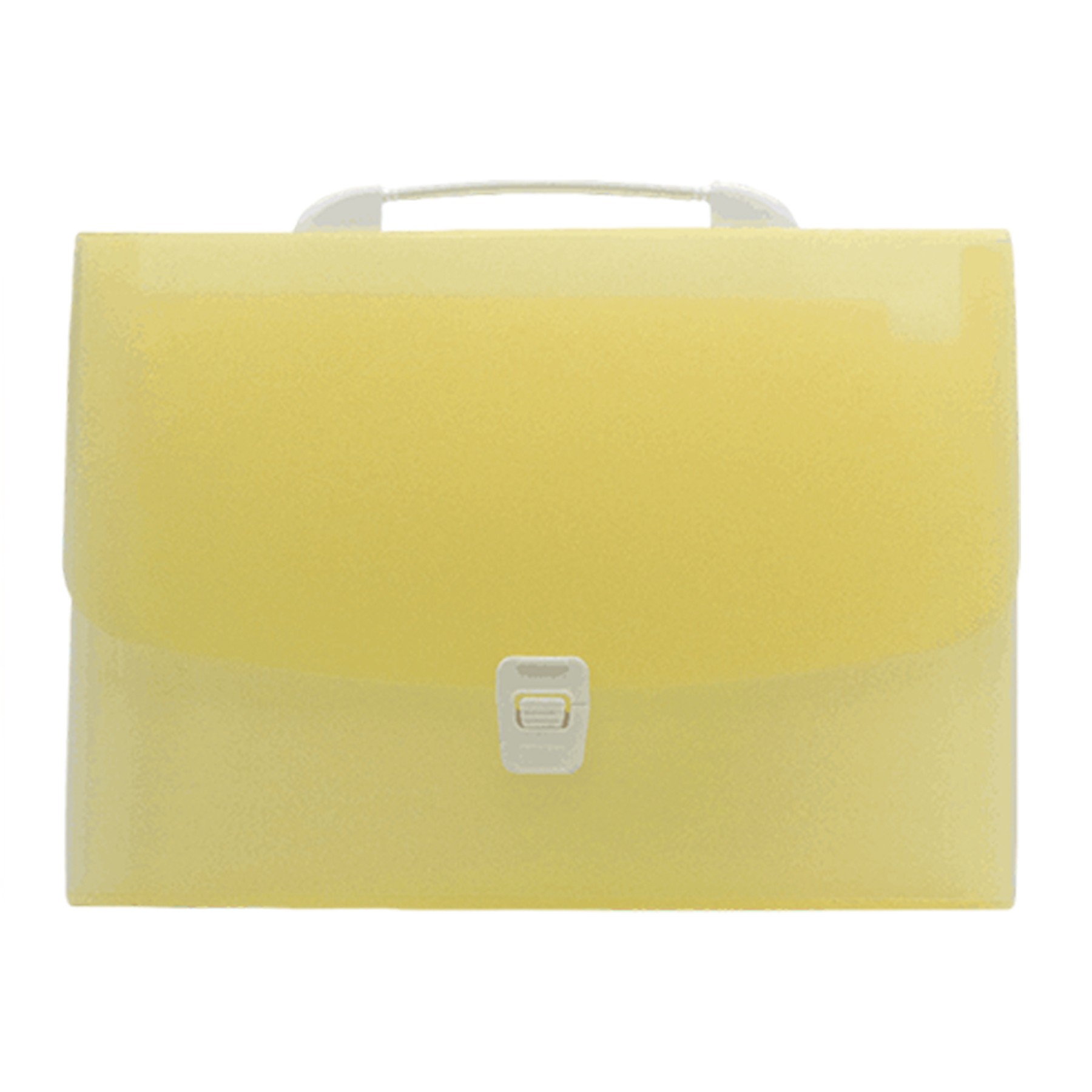 Portable Translucent Folder Bag 3