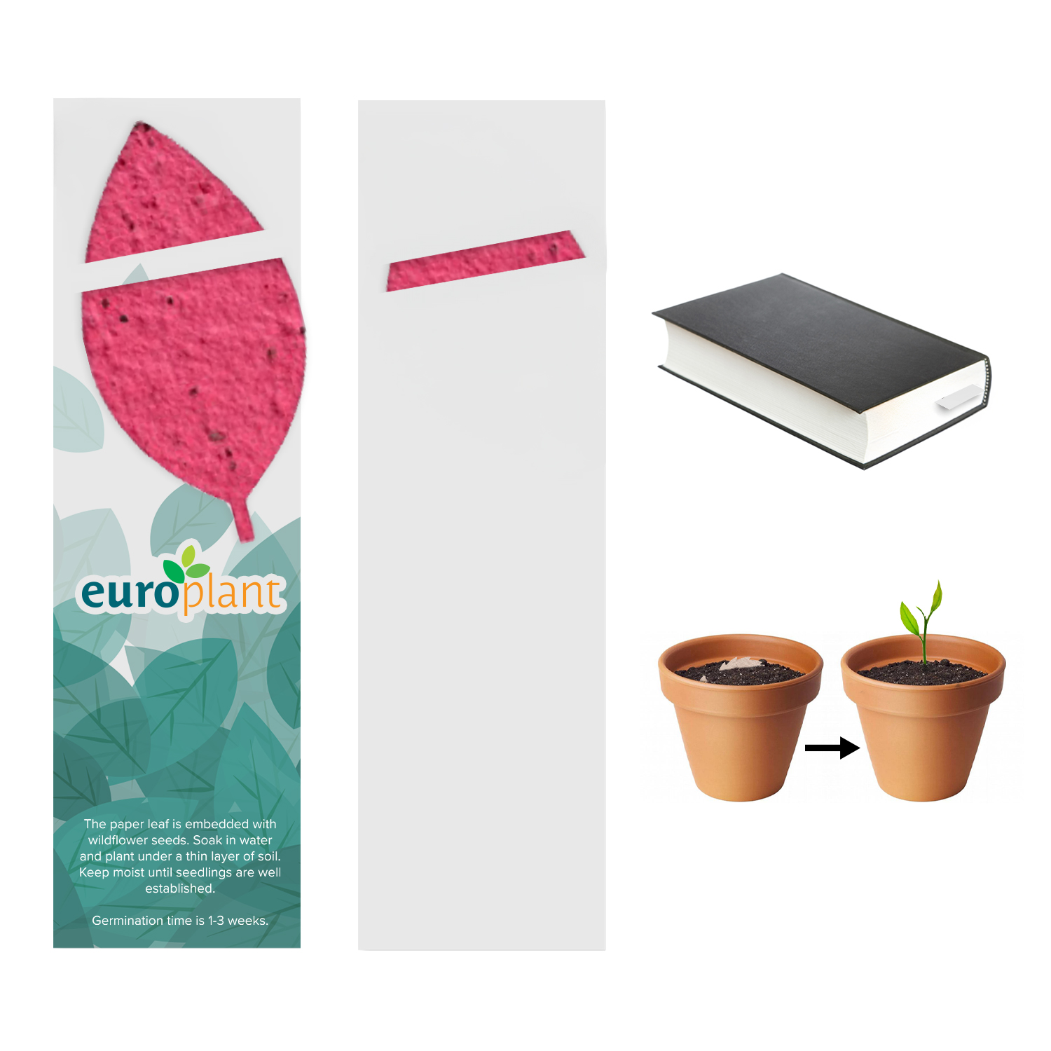 Plantable Bookmark 23