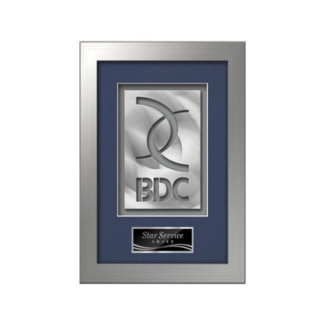 Eldridge Aquashape™ Award - Silver 10