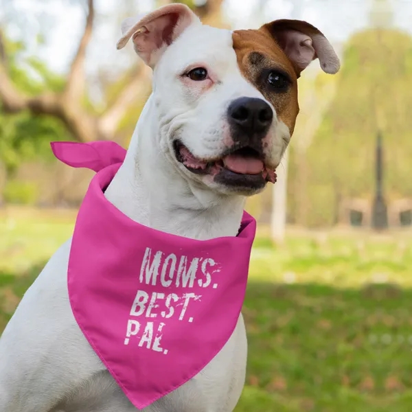 Pet Bandana Scarf 7