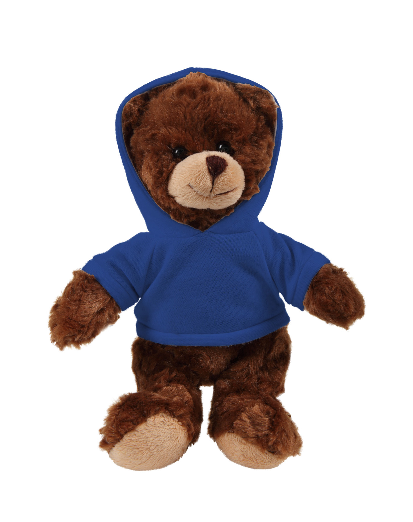 soft plush  Chocolate Curly Sitting Bear with hoodie 3