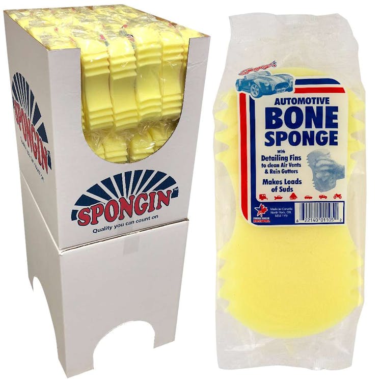 Automotive Bone Sponge 2